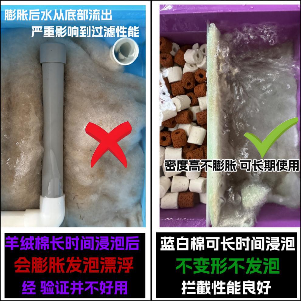 35becb3e-e105-4d93-8db4-8084b5a524bc.jpe