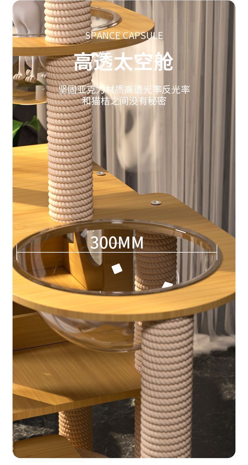 1ec15942-7de7-4a54-882b-1a9a0cdf9bf8.jpe