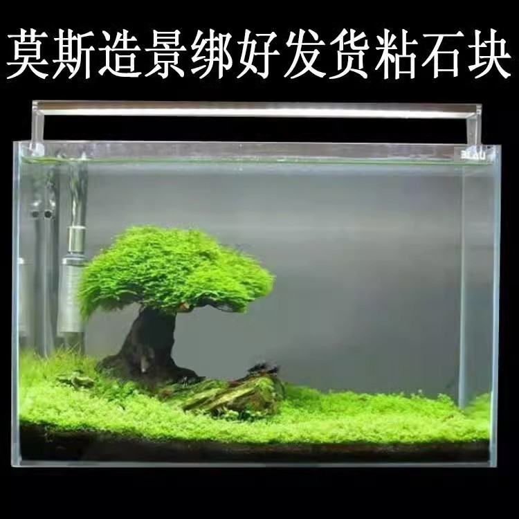 3cbb341d-6649-4934-831a-743140cd0e2d.jpe