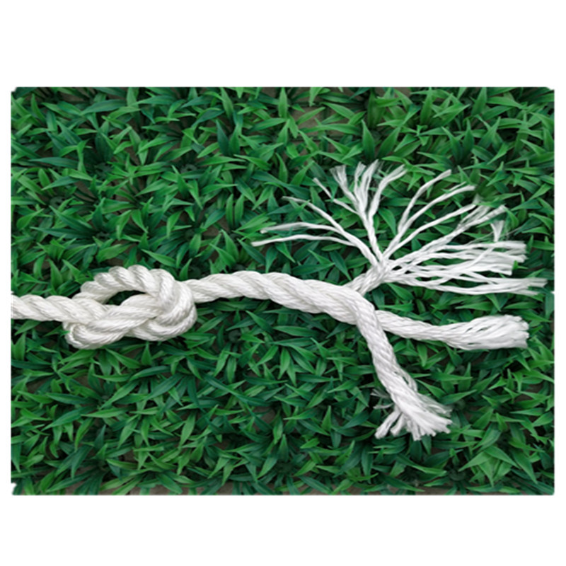 O1CN011e8LoYIQC8dt2zt_!!302504