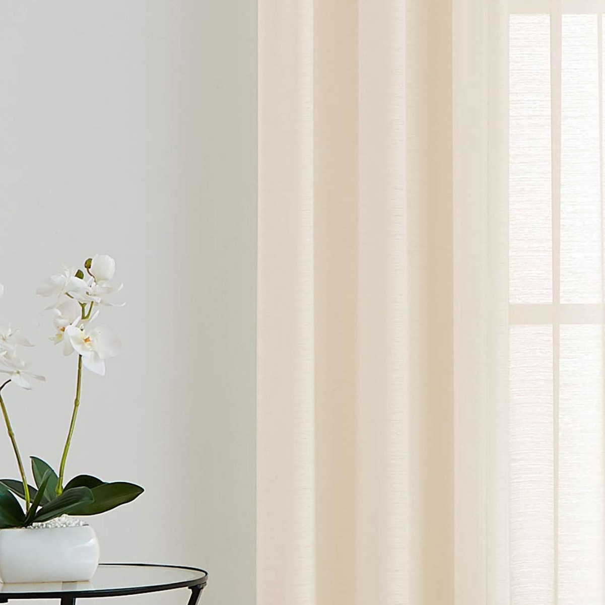 2025-03-19 15:07:36.jpg