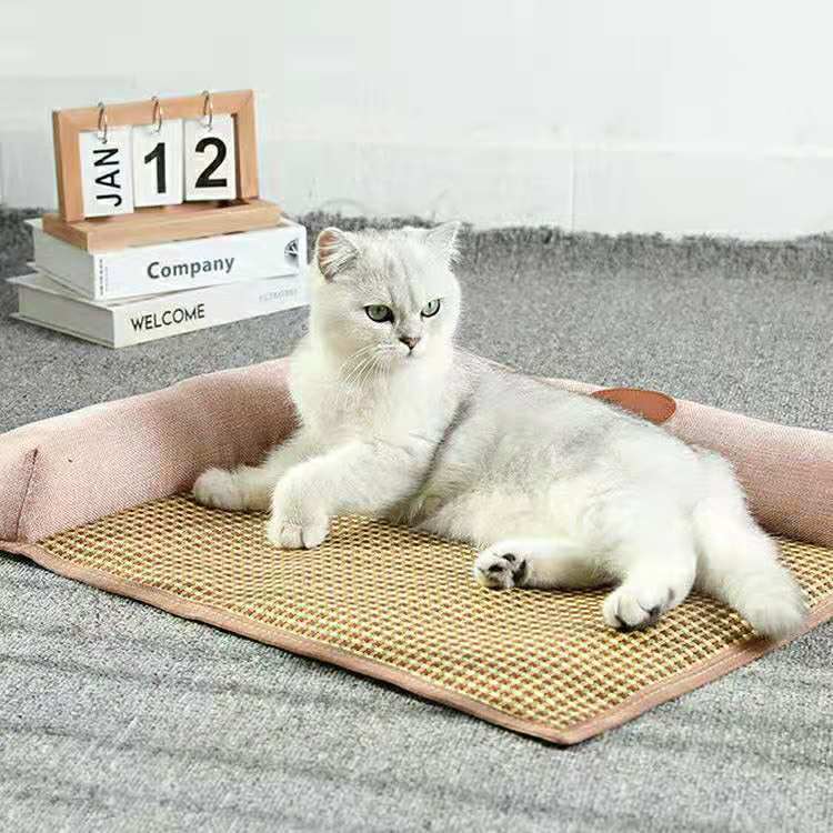 351f5eeb-6b30-494c-9829-65fbba0d22fc.jpe