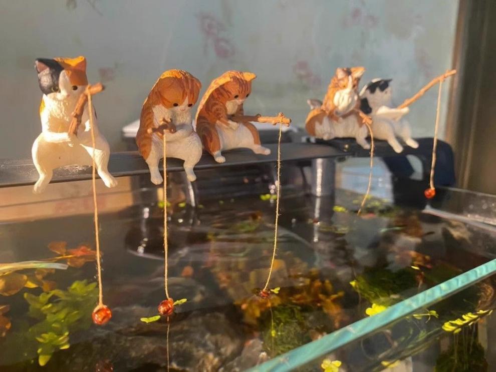 9e33d3a5-0af6-439d-95c2-275ee66e883c.jpe