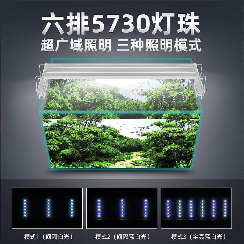 详情图06.jpg