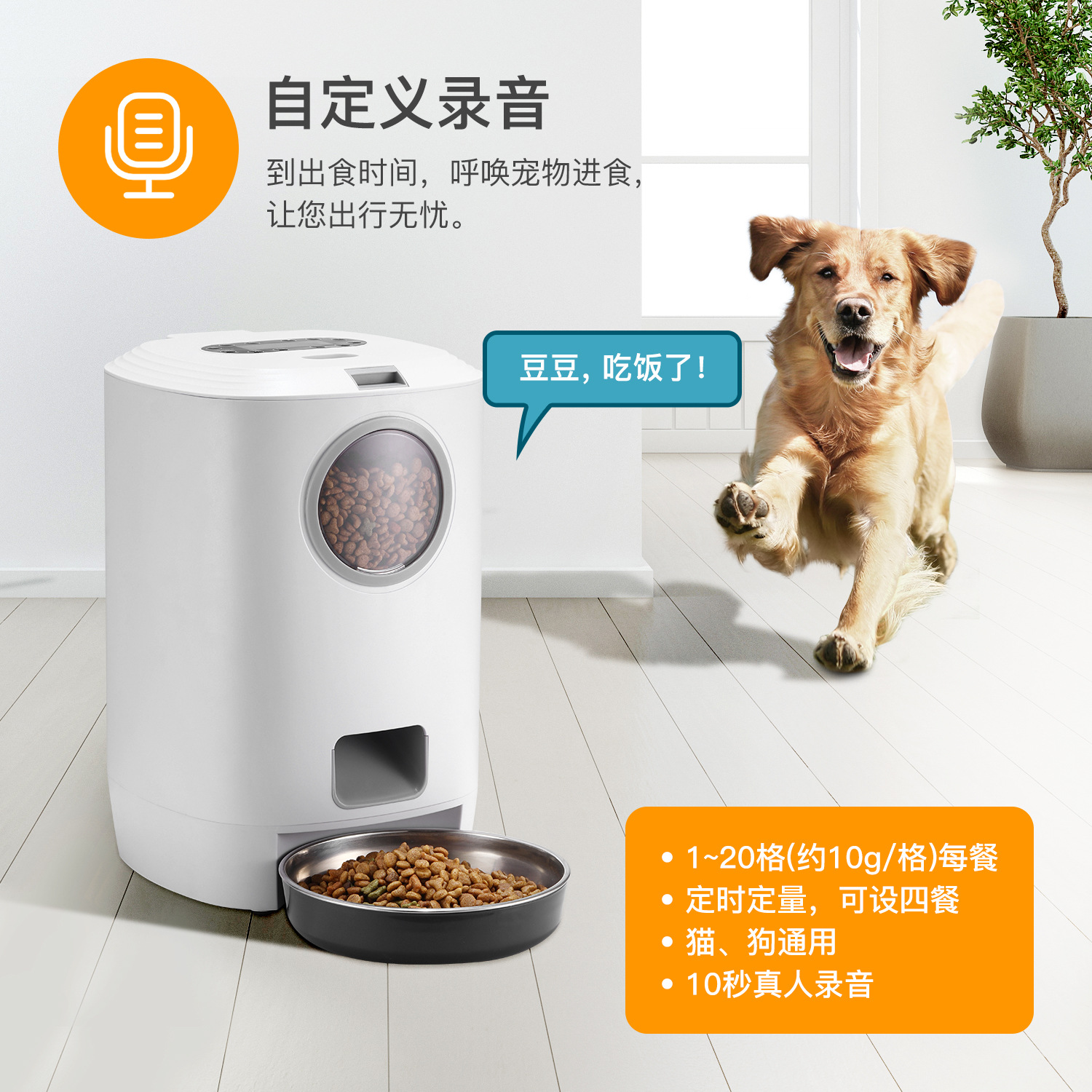RAOZHIXIANG品牌喂食器 (4).jpg