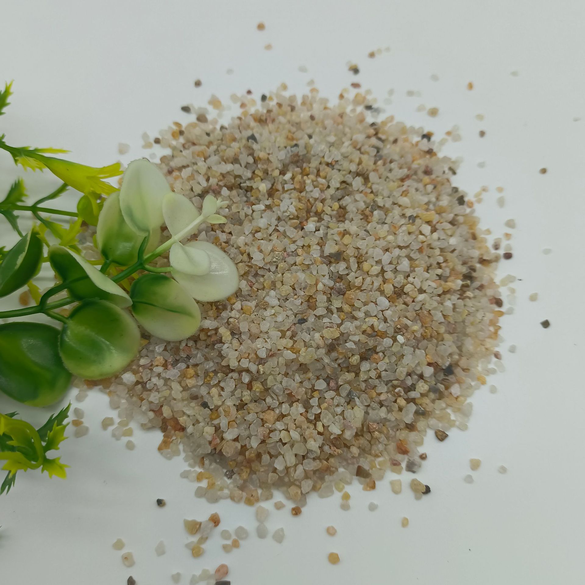 微信图片_20240918133451