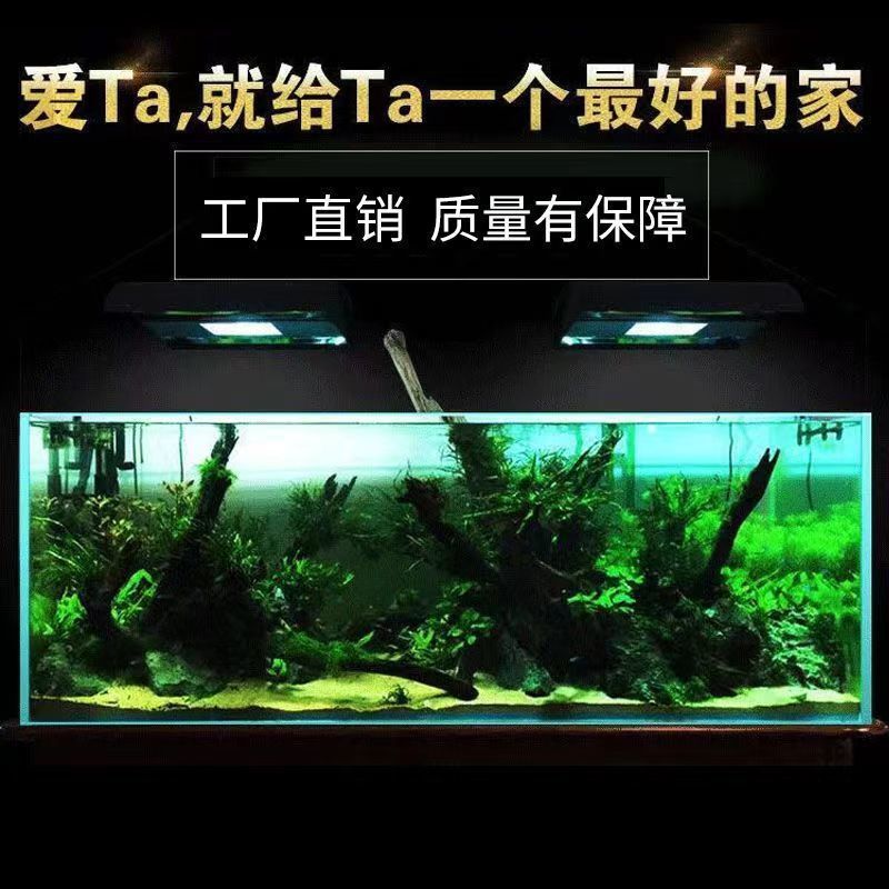 e0b34519-16ca-4320-adf4-3c3ece1e468c.jpe