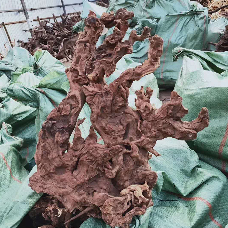 9513dac34668cd3f6acac84b7f1972