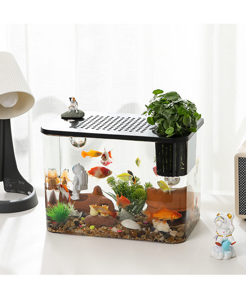 a48645b4-0f9b-4306-80ca-fb28fcf33e8c.jpe