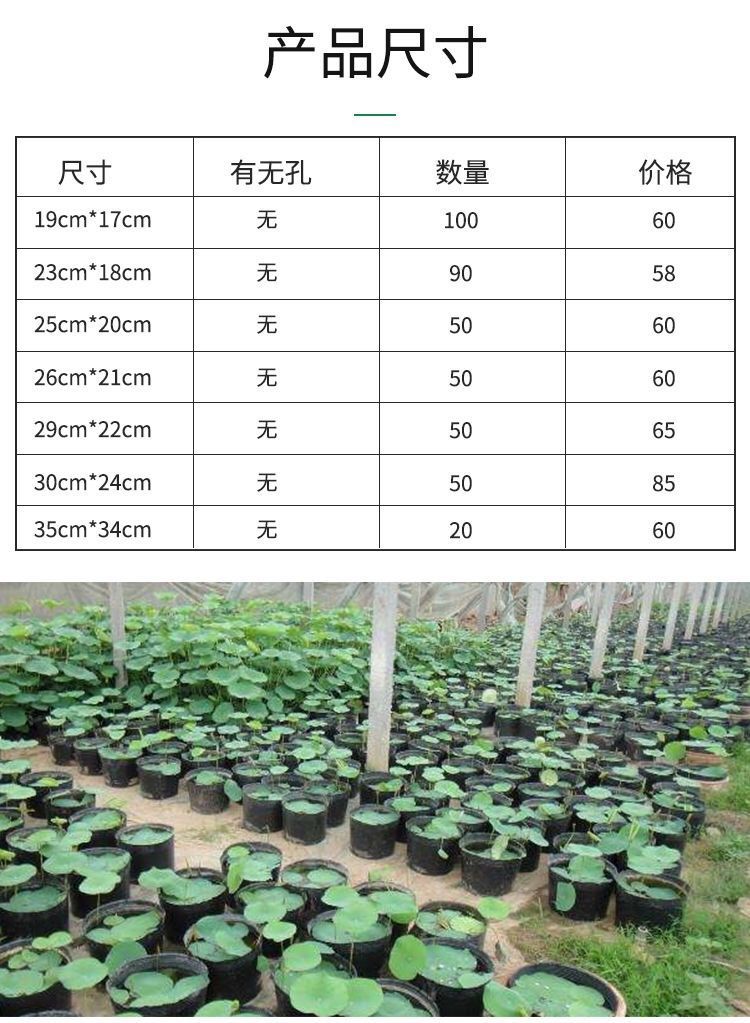 微信图片_20221008153732.jpg