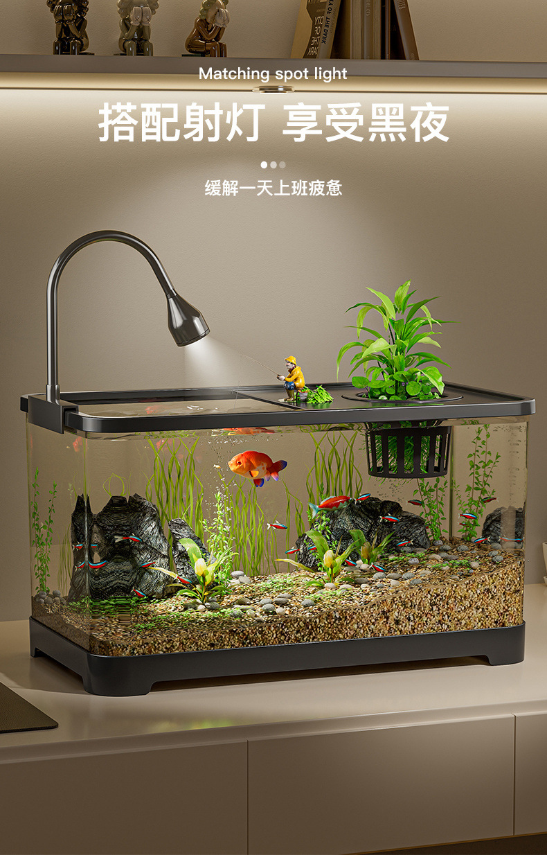 5557419e-4de1-428a-82bf-9d1ab4ee2d82.jpe