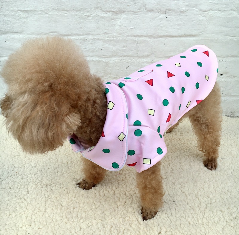 小新睡衣 (1).JPG