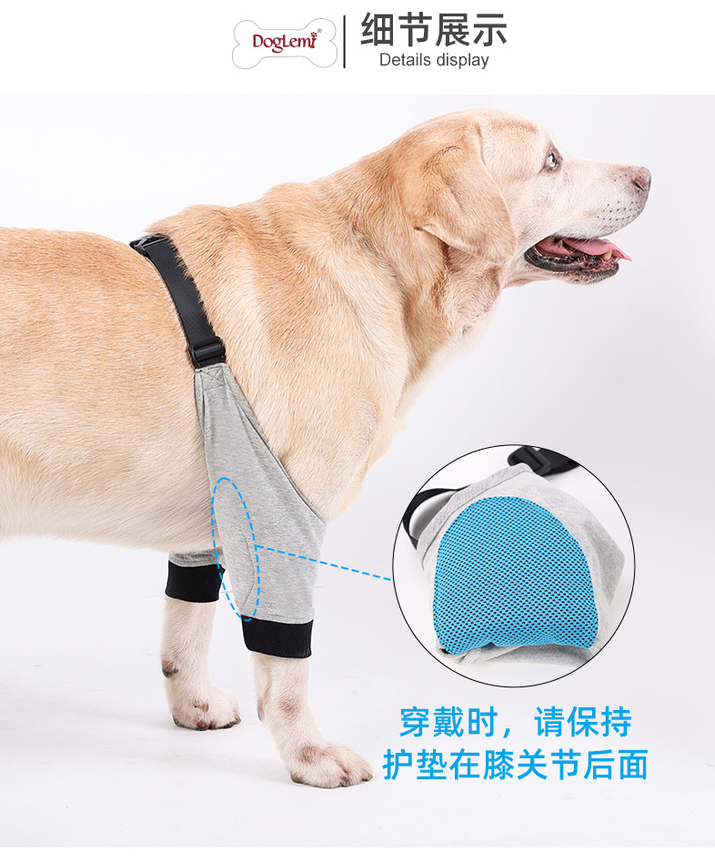 PD60100狗狗前腿保护_06.jpg