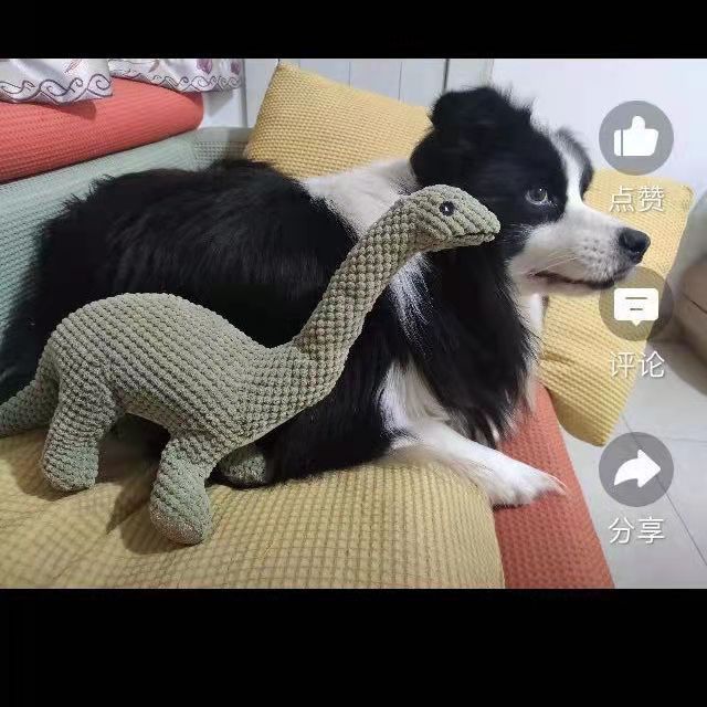 微信图片_20210716103057