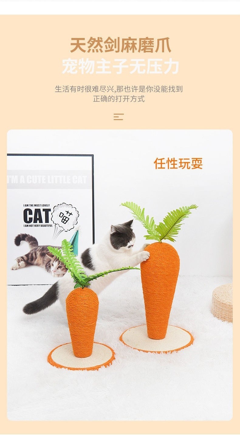 0068fe34-935d-4289-b494-1b7d489a8f77.jpe