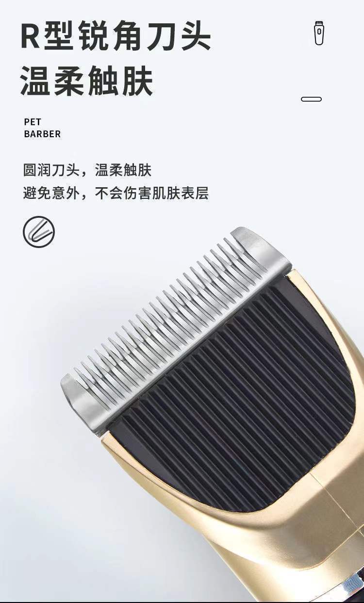 f809ce21-5cab-42a4-a906-b744f207ba07.jpe