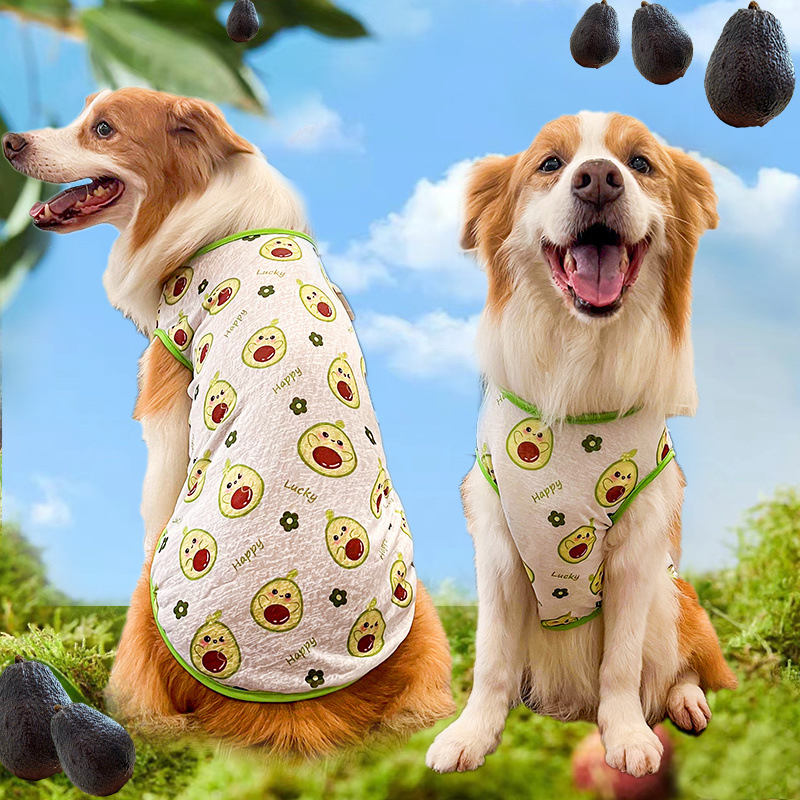 a3f071ea-0495-4941-ae3c-7a5084722046.jpe