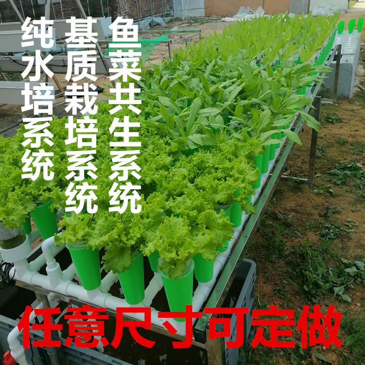 未命名_副本3