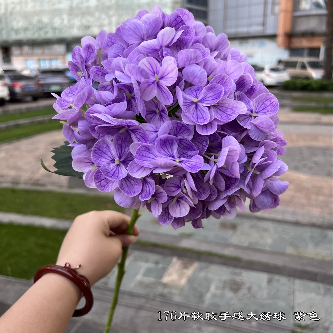 微信图片_20220727125757_副本