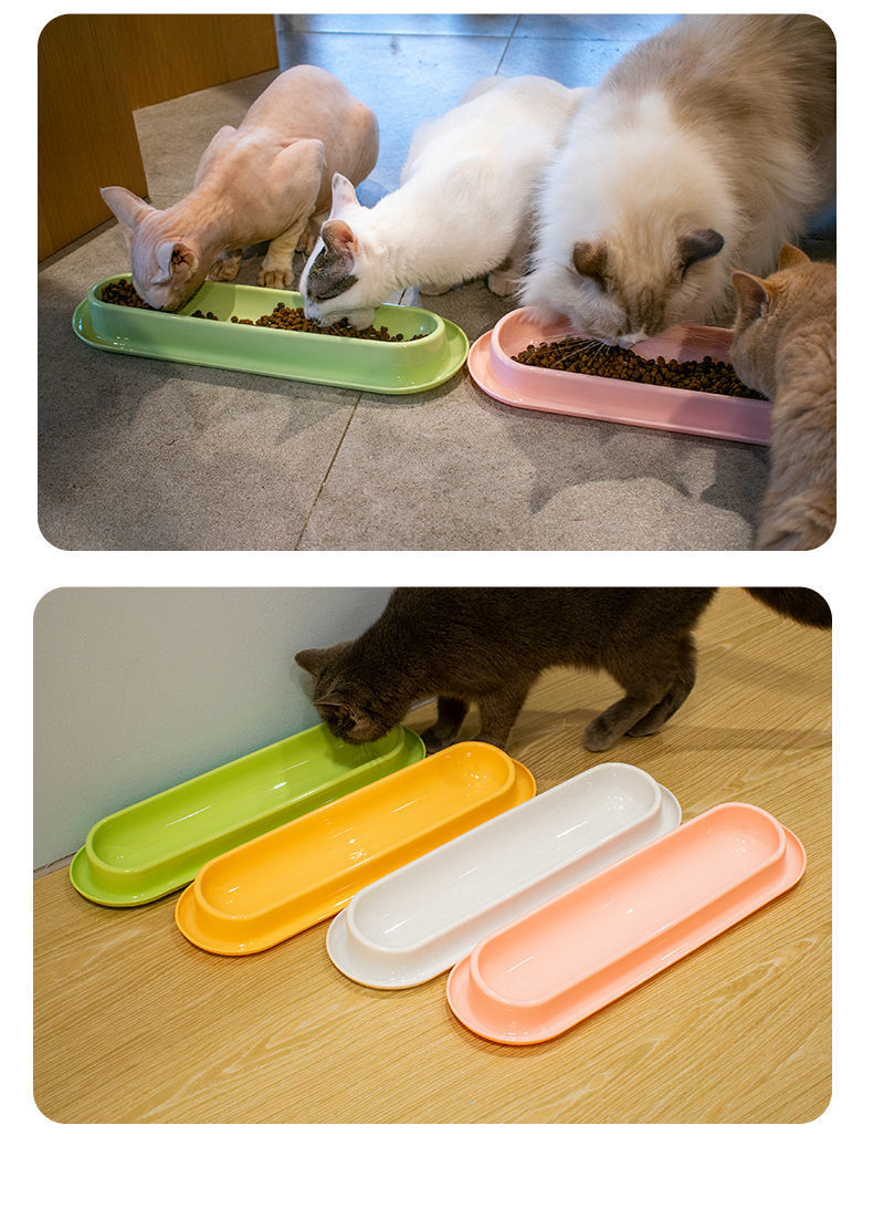 377311b7-e359-45ad-a133-45ce5a1b0004.jpe