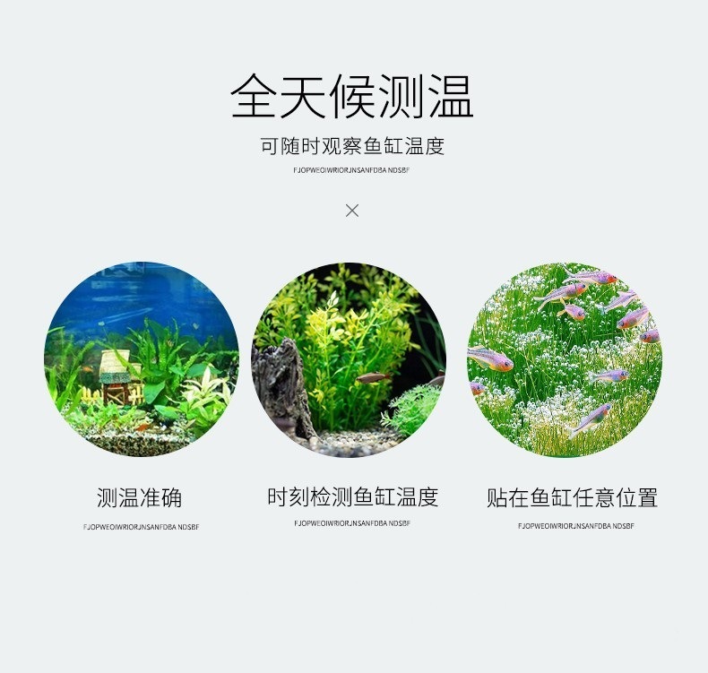 60543919-3b5c-4d73-adfb-cae5f255984a.jpe