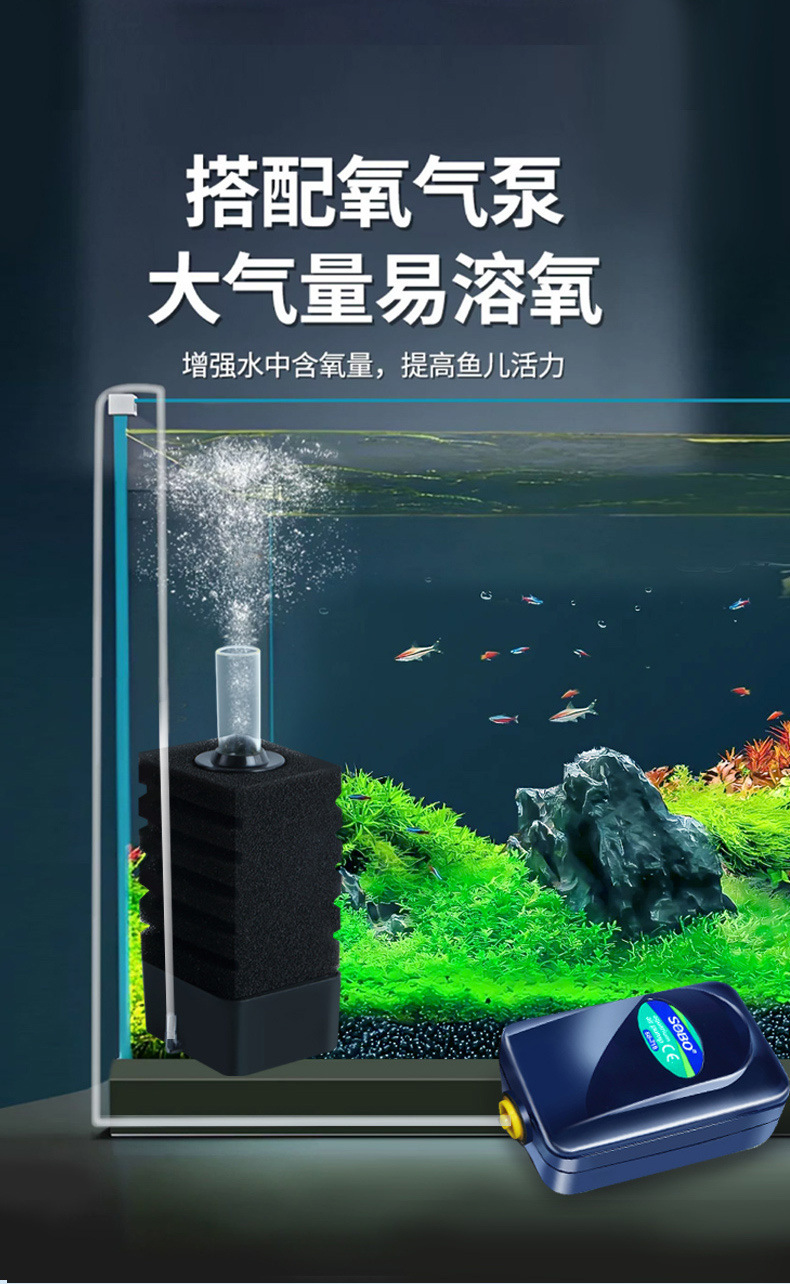 6095aea4-ce02-4d12-843d-8df3f5927b66.jpe