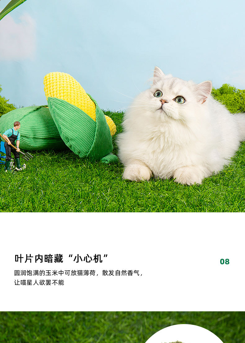 未标题-1_11.jpg