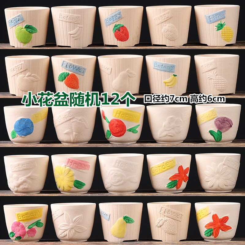 SKU-06-手彩多肉盆随机12个