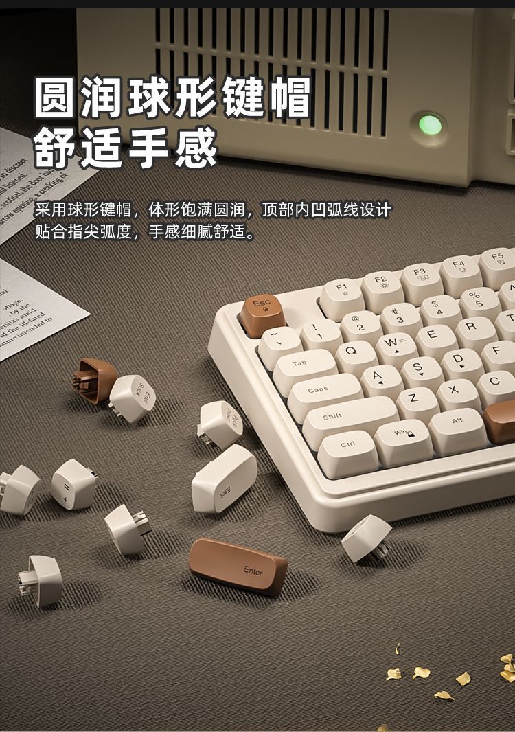 4454e8cb-3fa0-4843-a206-cd30d206d251.jpe