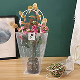 微信图片_20211212133451xiao