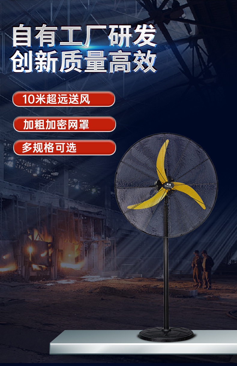 bed3d15a-df39-46c8-8bc5-75fd3fdf2fb0.jpe