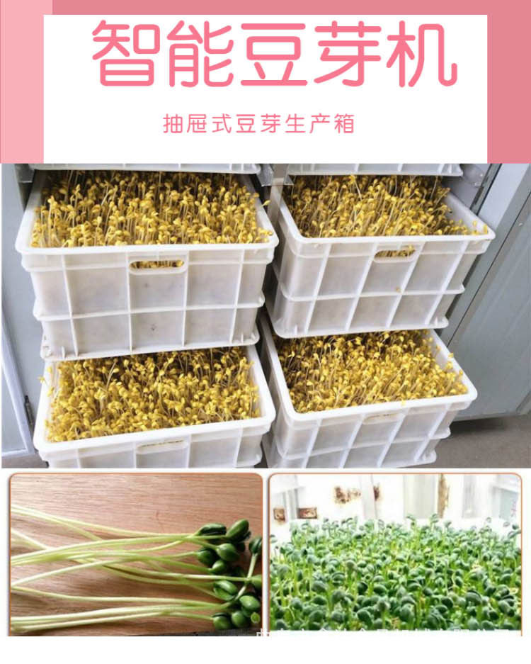 豆芽机6_01.jpg