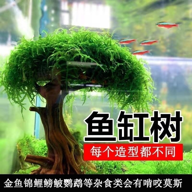 a23f1e77-1207-4abb-9a1a-87de457991bd.jpe