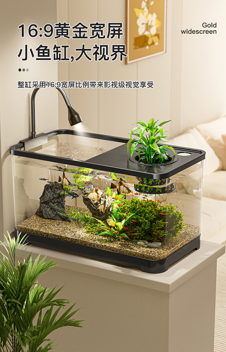 e892c293-2bd1-4a71-b681-88e5ea4ca475.jpe