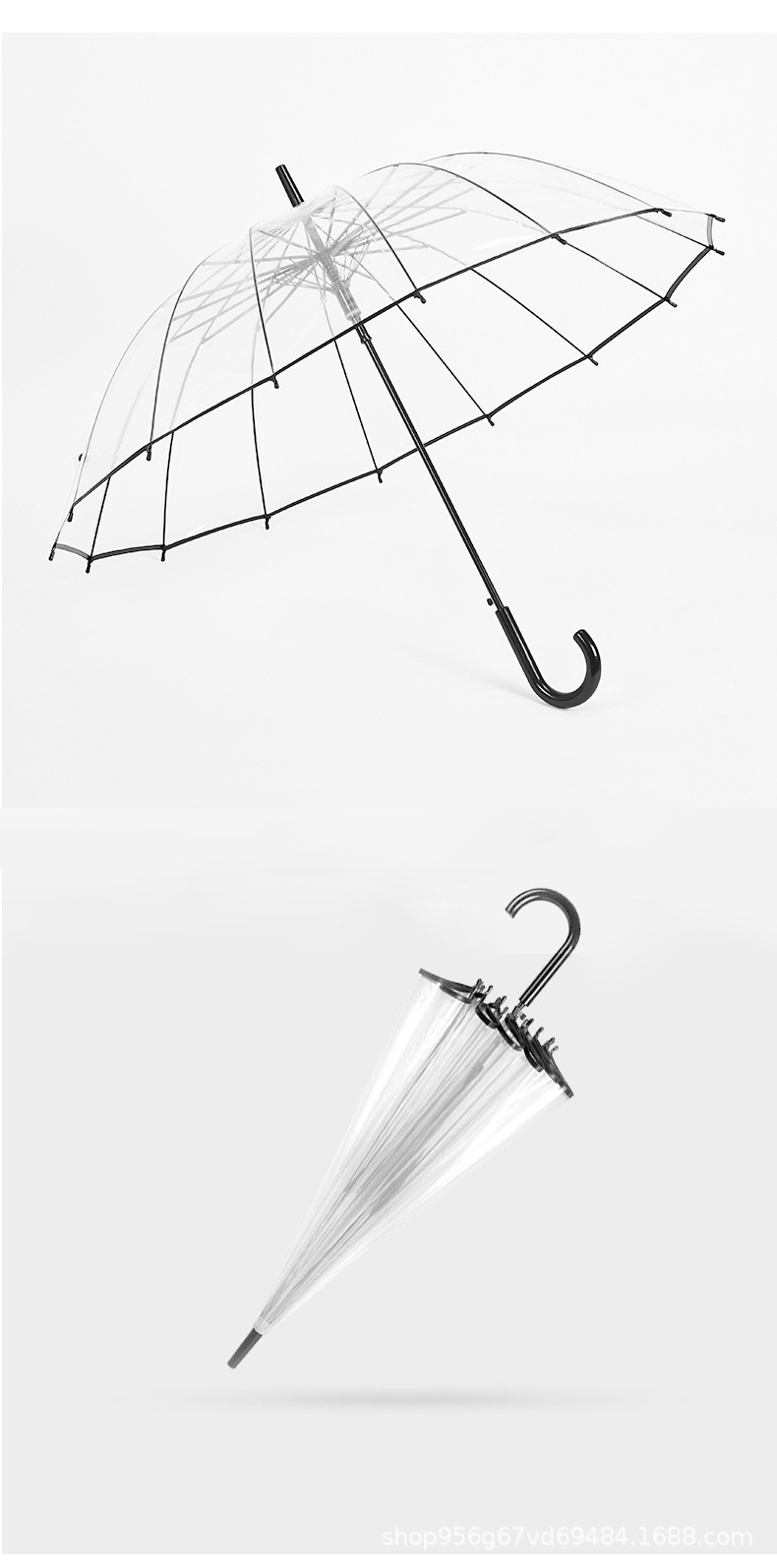 透明伞_05.jpg
