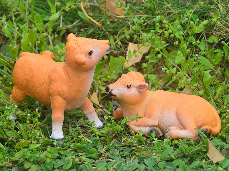 DSC_0033_副本4.jpg