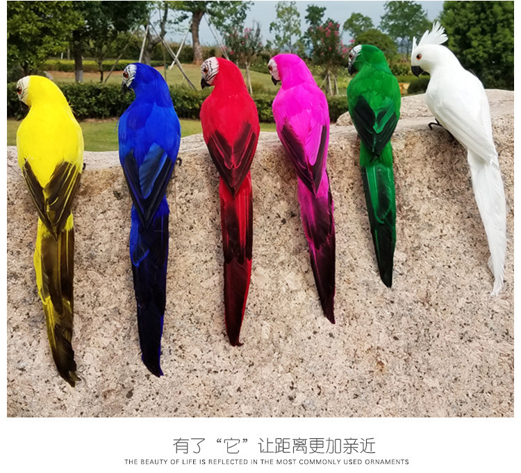 鹦鹉、_14.jpg