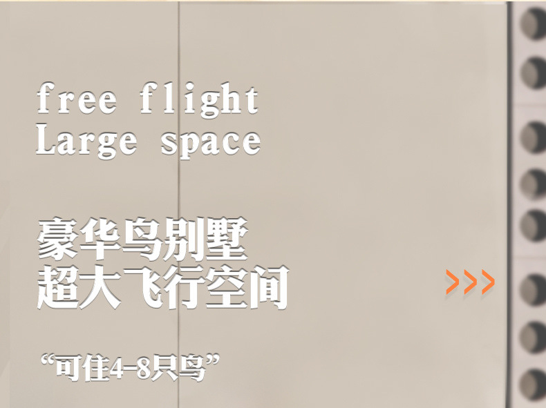 df8f6526-d319-4ebc-92c6-0a7b76b0900e.jpe