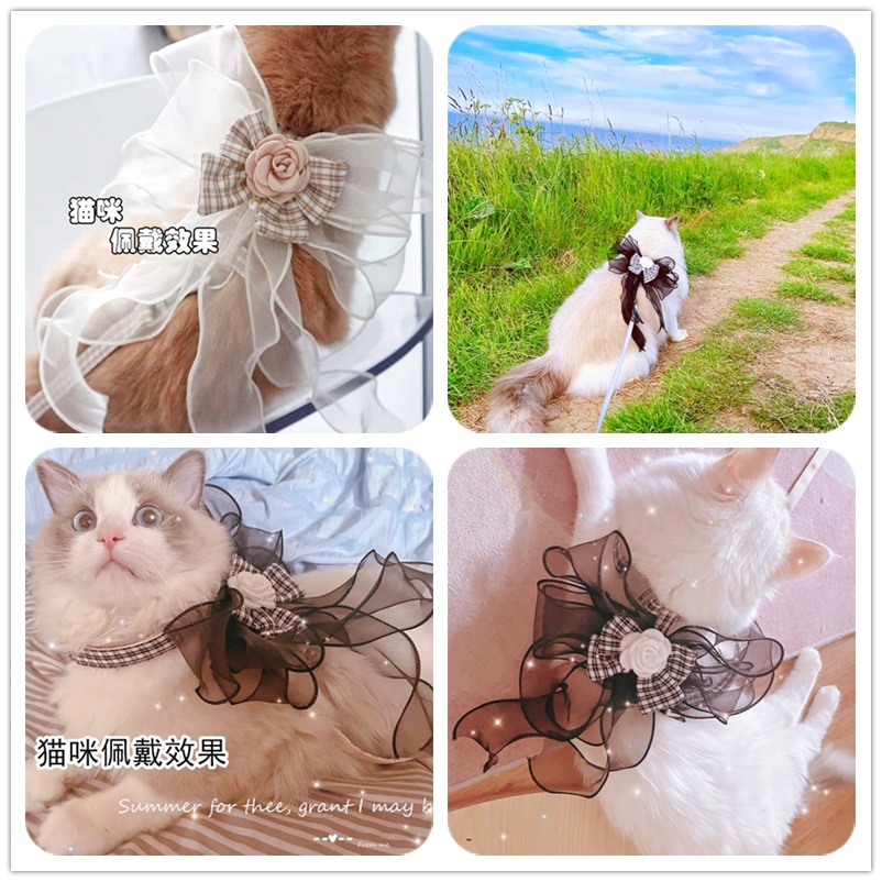 IMG_6917(20220720-2207847)_副本