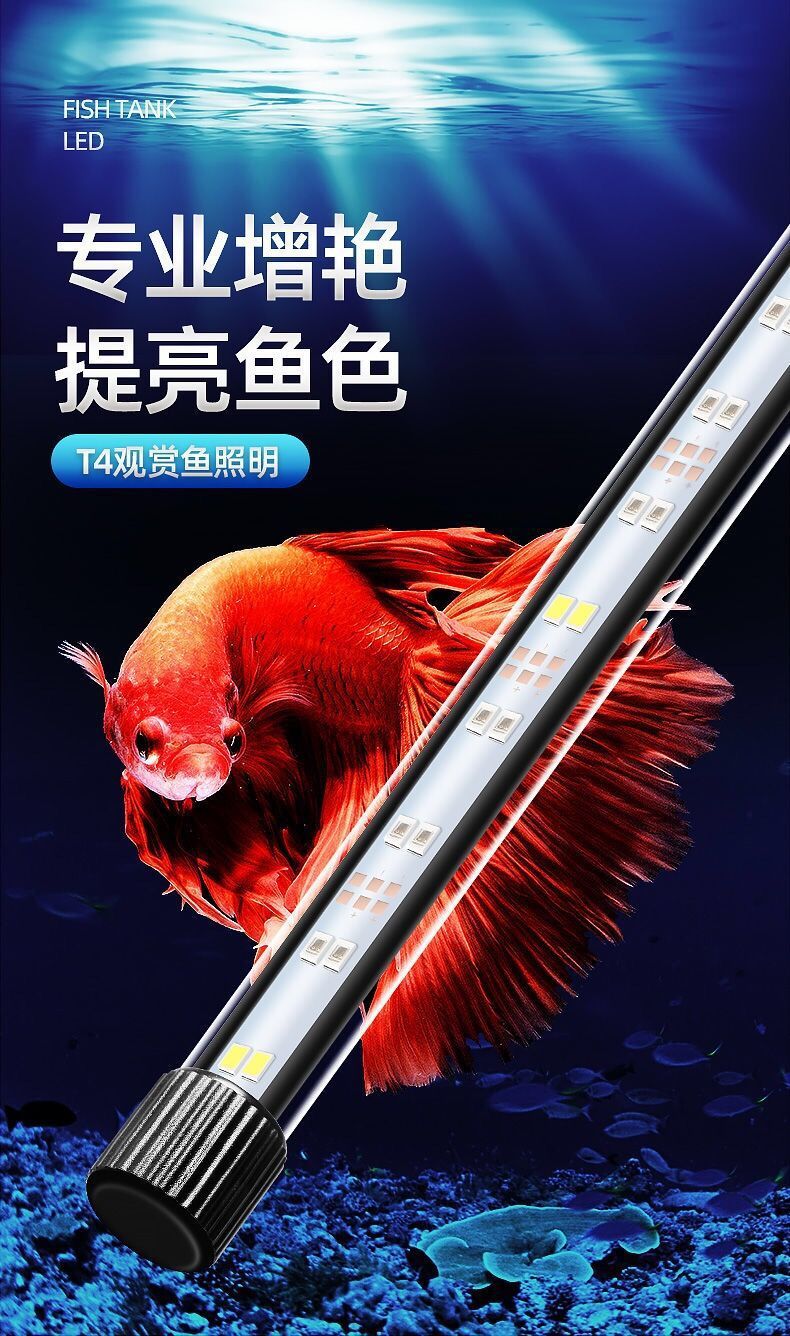 dc99d9b1-5edc-49fa-8b8c-03660153f29a.jpe