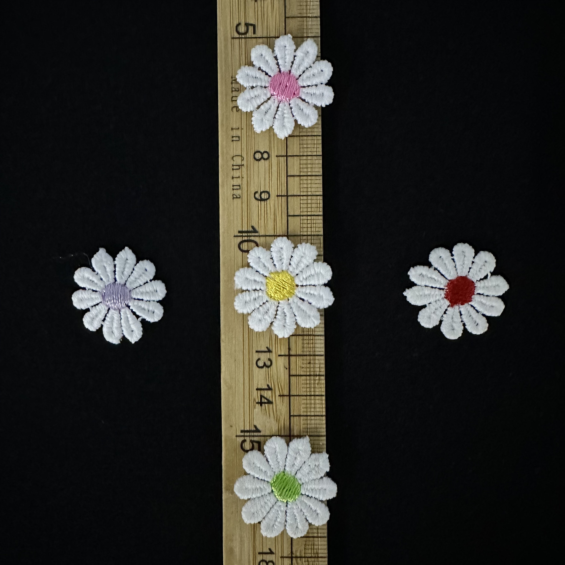 小雏菊花个