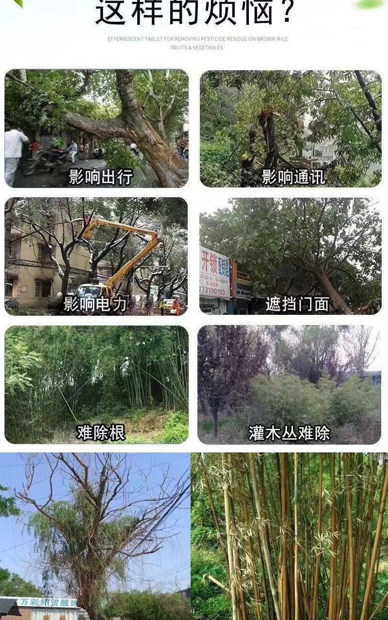 e6ea6752-1a00-4d52-b710-e6836a5be37d.jpe