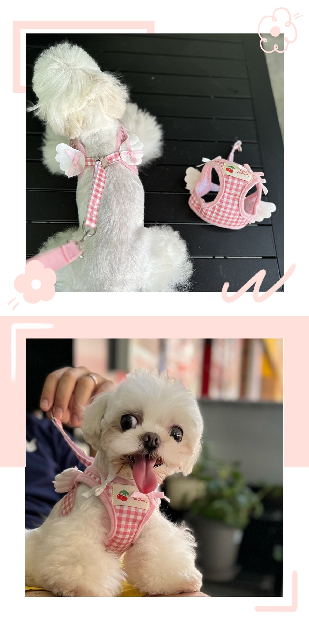 IMG_6916_conew1_副本23