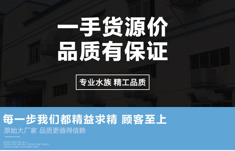 详情_01.jpg
