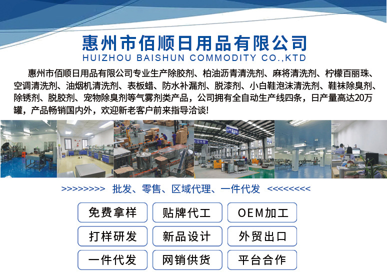 公司简介(1)
