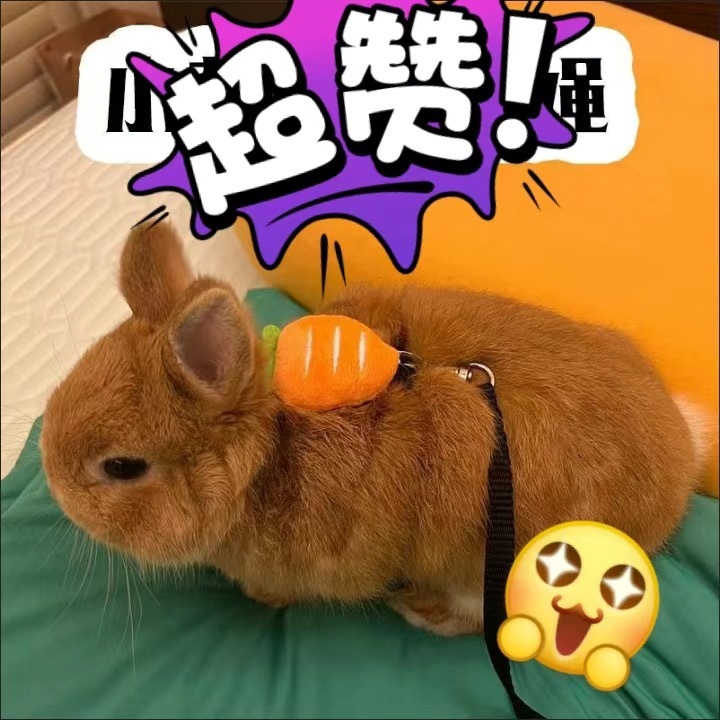 d0e5a1e8-0d6d-47e6-b8ab-9ab800240437.jpe