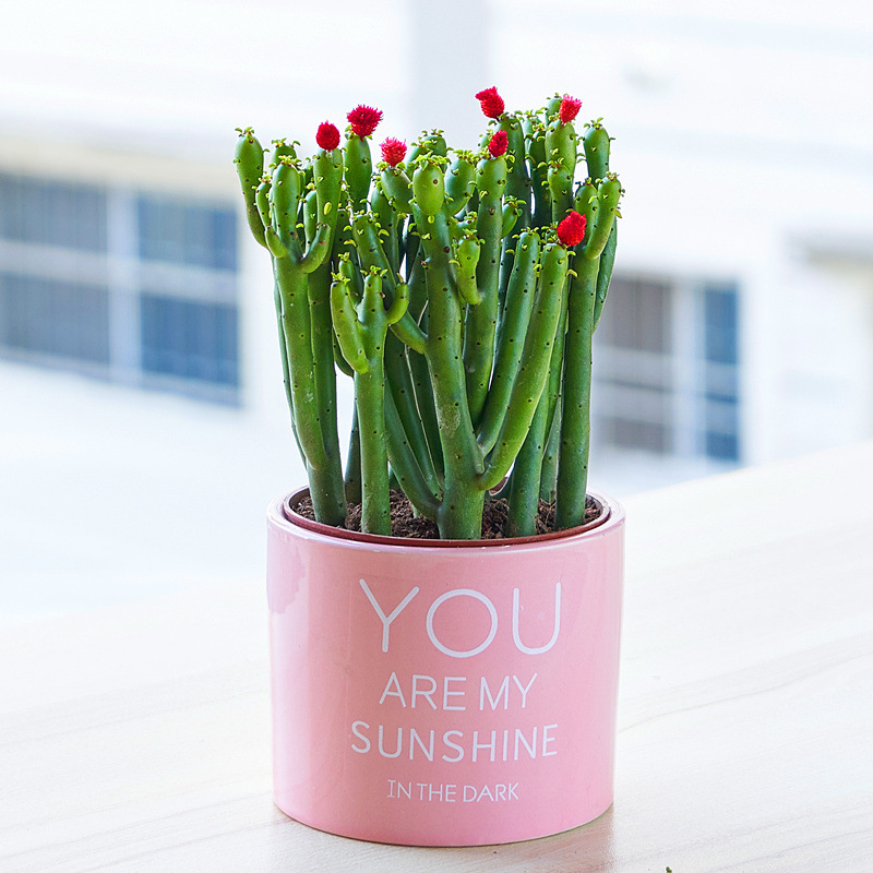 5f098340-fbec-4e67-aa84-9021d3cd1288.jpe