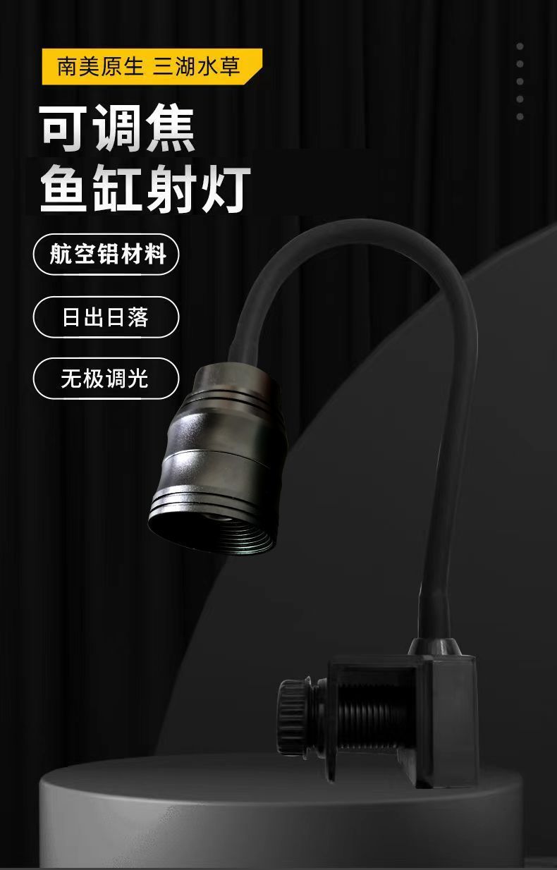 08008512-2302-422b-bb03-b9b70e81ec0e.jpe