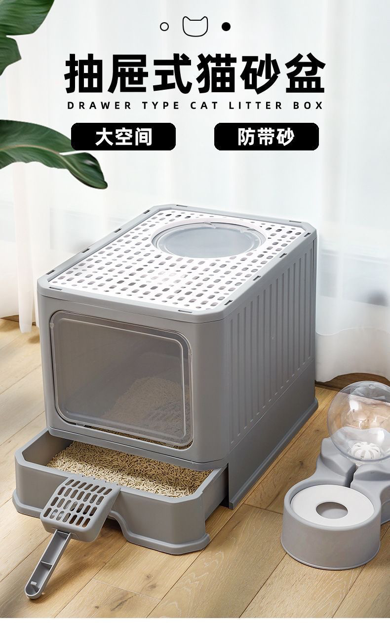 30f6db38-04cd-42ce-8dce-dc5b7a91a6b2.jpe