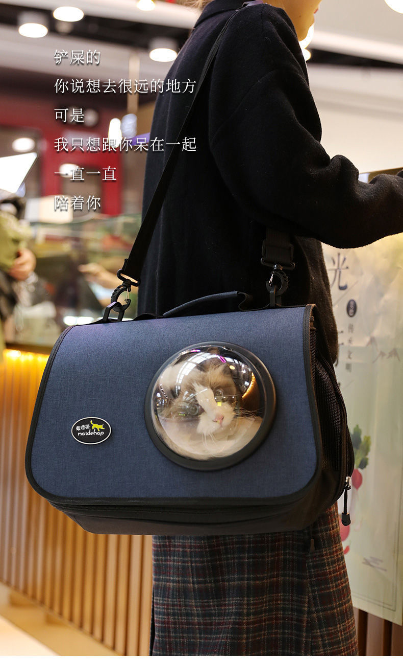 080f1221-1d1d-4e39-bbb0-5f77574dac60.jpe